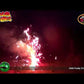 Funky Frog Fountain Firework - Fun Firework - * KIDS FAVORITE *