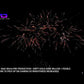 Snakebite - Vivid Pyrotechnics Firework - Barrage